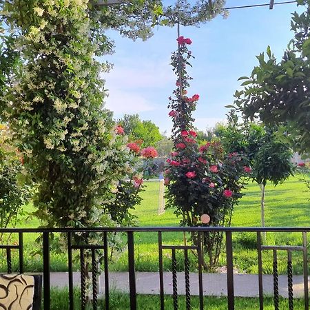 Room With Private Garden Shkodër Exterior foto