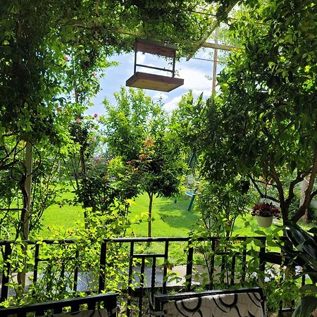 Room With Private Garden Shkodër Exterior foto