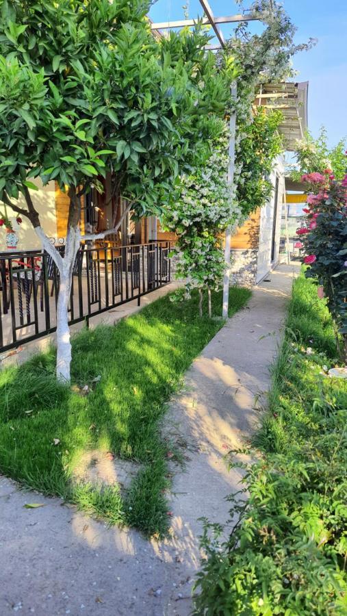 Room With Private Garden Shkodër Exterior foto