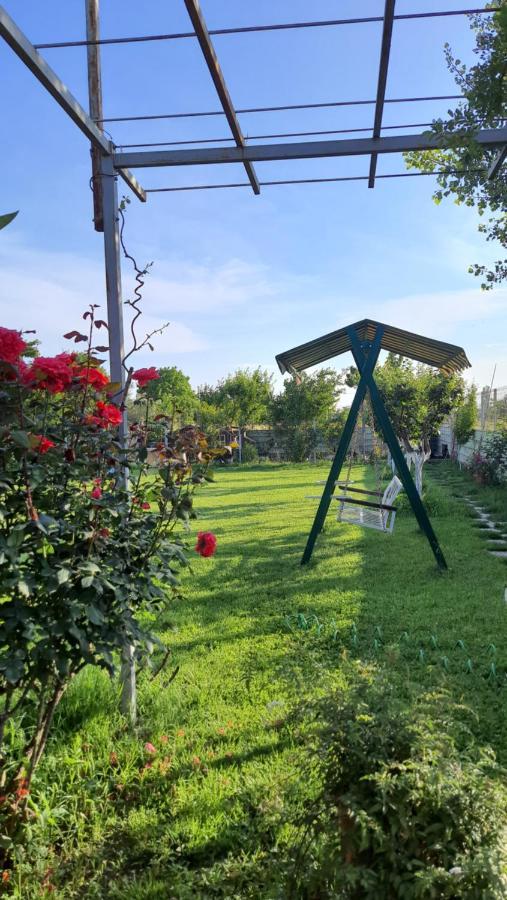 Room With Private Garden Shkodër Exterior foto
