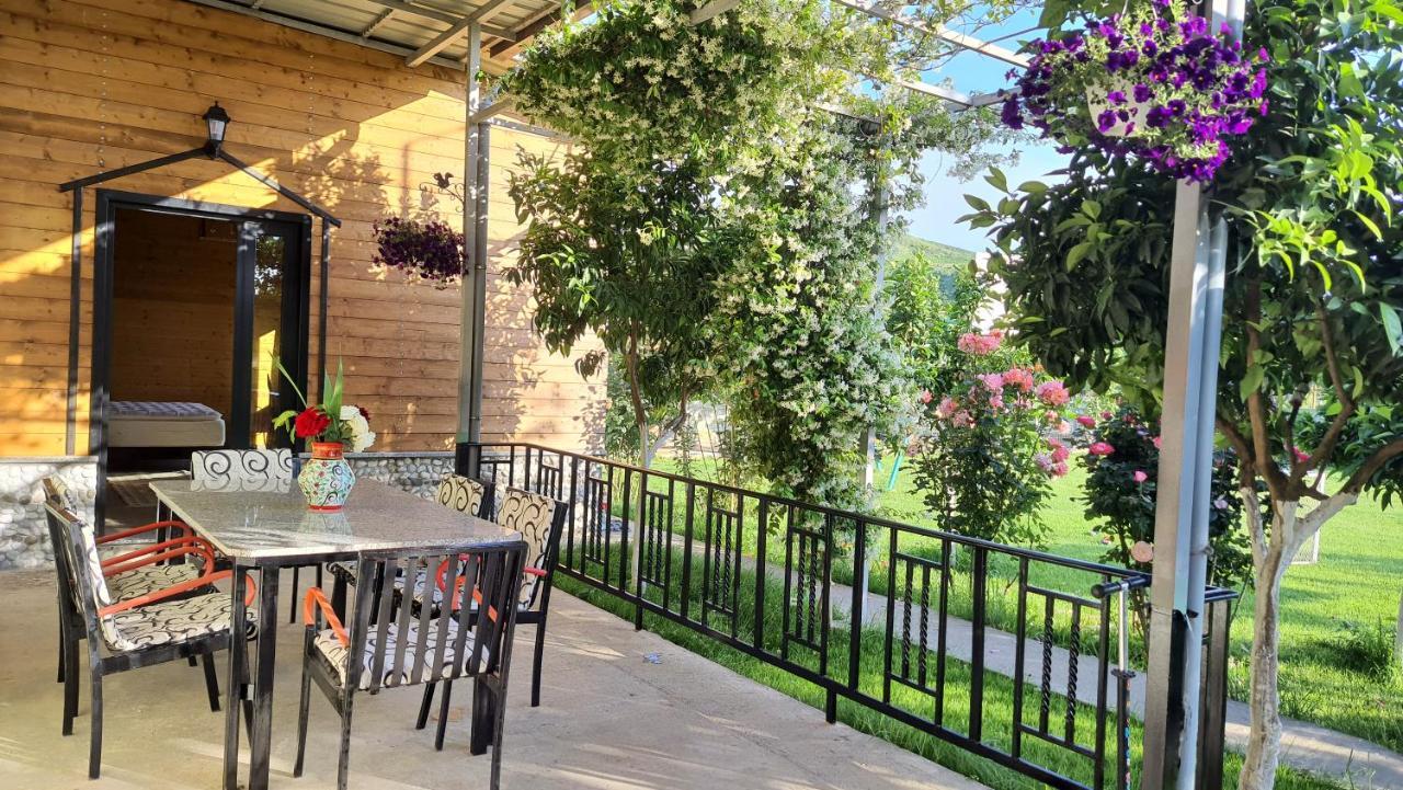 Room With Private Garden Shkodër Exterior foto
