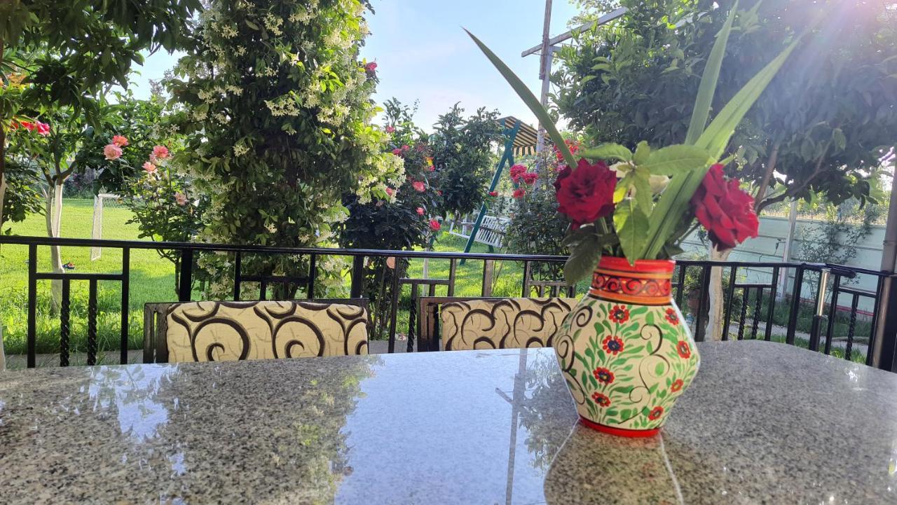 Room With Private Garden Shkodër Exterior foto