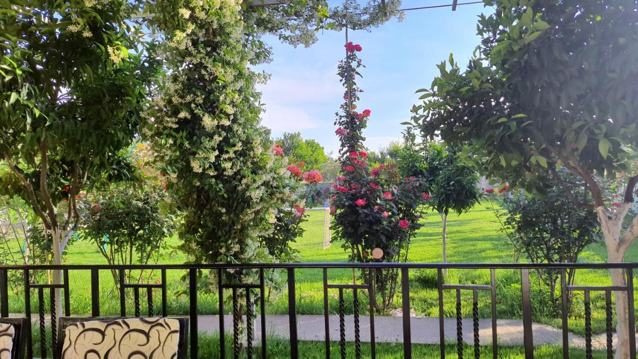 Room With Private Garden Shkodër Exterior foto